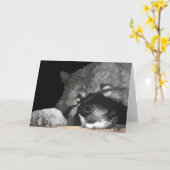 Keeshond om het even welk gelegenheidswenskaart kaart (Gele Bloem)