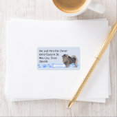 Keeshond op Blue Gingham Etiket (Insitu)