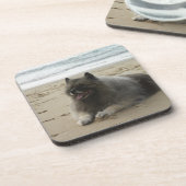 keeshond op het strand.png onderzetter (Linkerzijde)