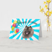 Keeshond op witte Gelukkige Verjaardag Starburst Kaart (Gele Bloem)