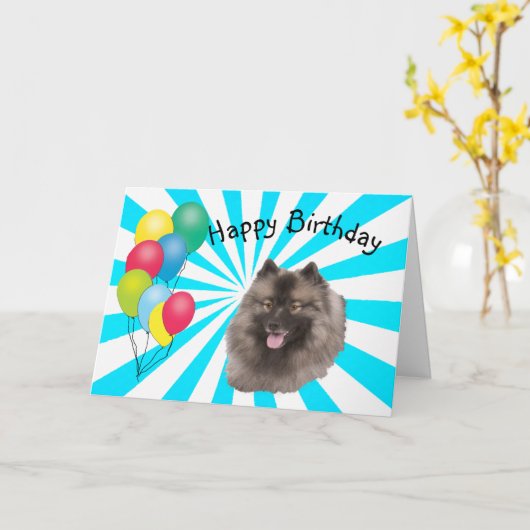 Keeshond op witte Gelukkige Verjaardag Starburst Kaart (Gele Bloem)