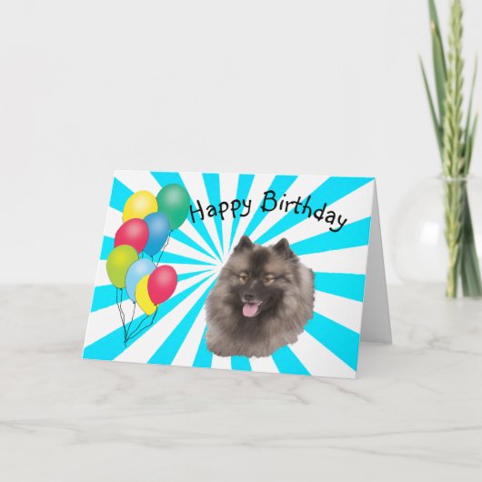 Keeshond op witte Gelukkige Verjaardag Starburst Kaart (Voorkant)