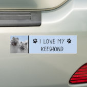Keeshond Paar van Kees Schilderen Originele Dieren Bumpersticker (Op auto)