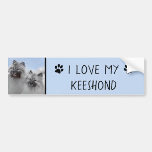 Keeshond Paar van Kees Schilderen Originele Dieren Bumpersticker