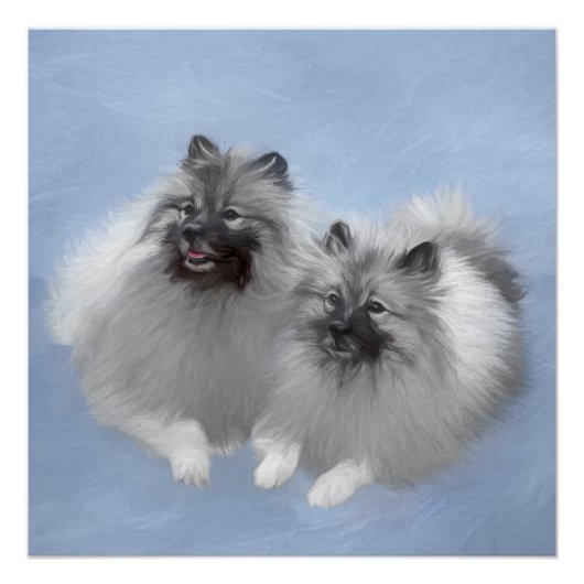 Keeshond Paar van Kees Schilderen Originele Dieren Perfect Poster (Voorkant)