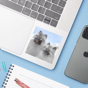 Keeshond Paar van Kees Schilderen Originele Dieren Sticker