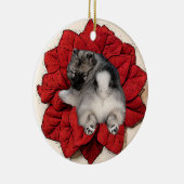 Keeshond Poinsettia Puppy Ornament (Rechts)