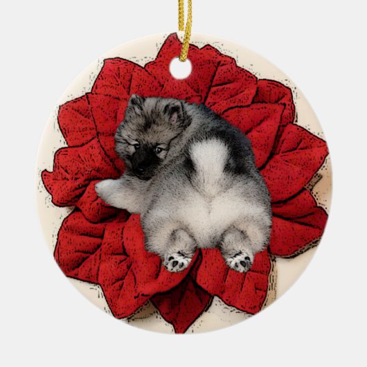 Keeshond Poinsettia Puppy Ornament (Voorkant)