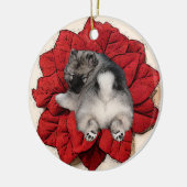 Keeshond Poinsettia Puppy Ornament (Links)