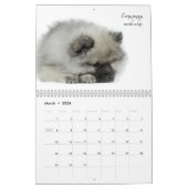 Keeshond Puppy Calendar Kalender (Mar 2026)