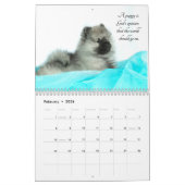 Keeshond Puppy Calendar Kalender (Feb 2026)