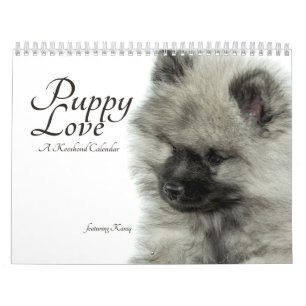 Keeshond Puppy Calendar Kalender