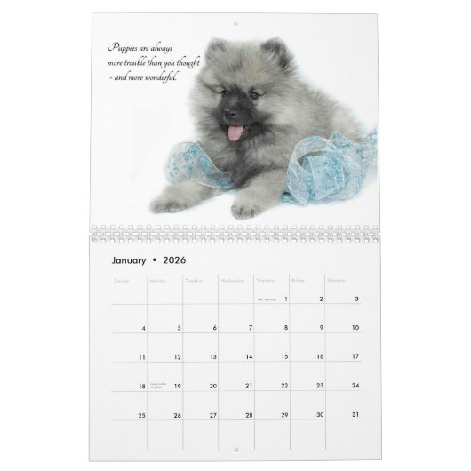 Keeshond Puppy Calendar Kalender (Jan 2026)