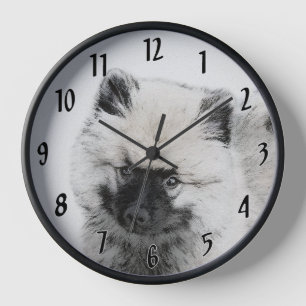Keeshond Puppy Drawing - Cute Original Dog Art