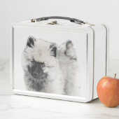 Keeshond Puppy Drawing - Cute Original Dog Art (In situ)