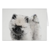 Keeshond Puppy Drawing - Cute Original Dog Art (Voorkant Horizontaal)