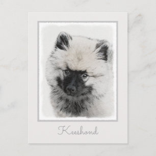 Keeshond Puppy Drawing - Cute Original Dog Art Briefkaart
