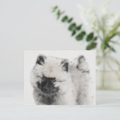 Keeshond Puppy Drawing - Cute Original Dog Art Briefkaart (Staand voorkant)