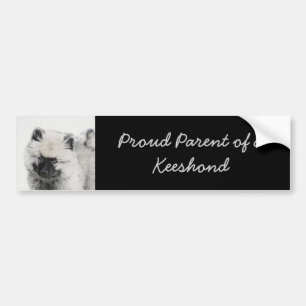 Keeshond Puppy Drawing - Cute Original Dog Art Bumpersticker