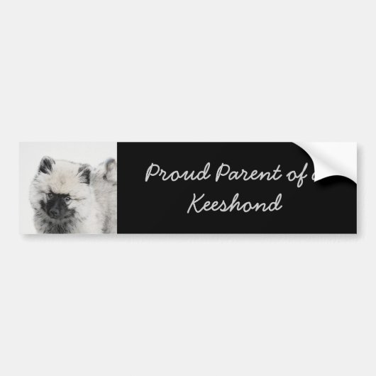 Keeshond Puppy Drawing - Cute Original Dog Art Bumpersticker (Voorkant)