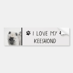 Keeshond Puppy Drawing - Cute Original Dog Art Bumpersticker