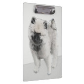 Keeshond Puppy Drawing - Cute Original Dog Art Klembord (Rechts)