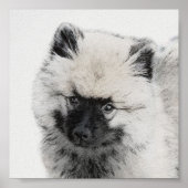 Keeshond Puppy Drawing - Cute Original Dog Art Poster (Voorkant)