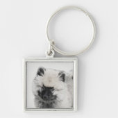 Keeshond Puppy Drawing - Cute Original Dog Art Sleutelhanger (Voorkant)