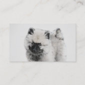 Keeshond Puppy Drawing - Cute Original Dog Art Visitekaartje (Achterkant)