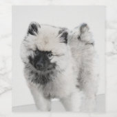 Keeshond Puppy Drawing - Cute Original Dog Art Wijn Etiket (Enkel label)