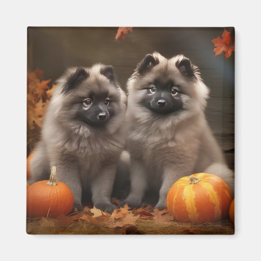 Keeshond Puppy Herfst Delight Pompoen Magneet (Voorkant)