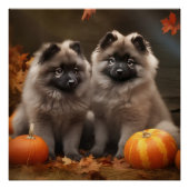 Keeshond Puppy Herfst Delight Pompoen Perfect Poster (Voorkant)