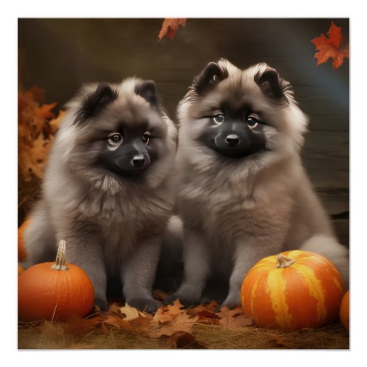 Keeshond Puppy Herfst Delight Pompoen Perfect Poster (Voorkant)