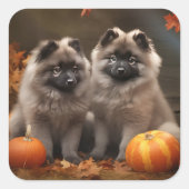 Keeshond Puppy Herfst Delight Pompoen Vierkante Sticker (Voorkant)