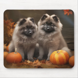 Keeshond Puppy Herfst Plezier Pompoen Muismat