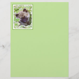 Keeshond Puppy in de Garden Painting Originele Kun