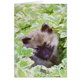 Keeshond Puppy in de Garden Painting Originele Kun