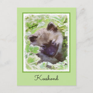 Keeshond Puppy in de Garden Painting Originele Kun Briefkaart