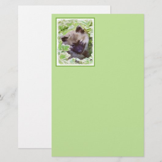 Keeshond Puppy in de Garden Painting Originele Kun Briefpapier (Voorkant / Achterkant)