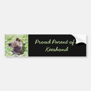 Keeshond Puppy in de Garden Painting Originele Kun Bumpersticker