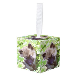 Keeshond Puppy in de Garden Painting Originele Kun Decoratie