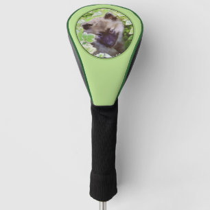 Keeshond Puppy in de Garden Painting Originele Kun Golfheadcover
