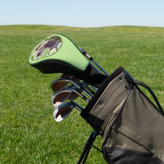 Keeshond Puppy in de Garden Painting Originele Kun Golfheadcover (Insitu)