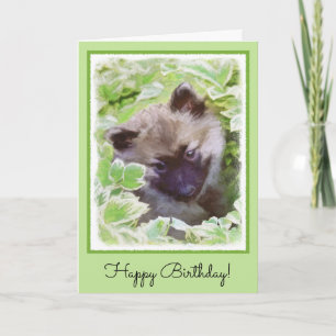 Keeshond Puppy in de Garden Painting Originele Kun Kaart
