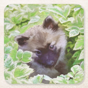 Keeshond Puppy in de Garden Painting Originele Kun Kartonnen Onderzetters