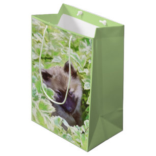 Keeshond Puppy in de Garden Painting Originele Kun Medium Cadeauzakje
