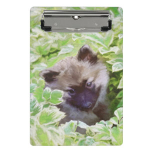 Keeshond Puppy in de Garden Painting Originele Kun Mini Klembord