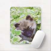 Keeshond Puppy in de Garden Painting Originele Kun Muismat (Met muis)