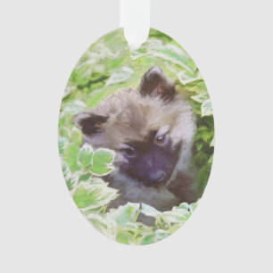 Keeshond Puppy in de Garden Painting Originele Kun Ornament