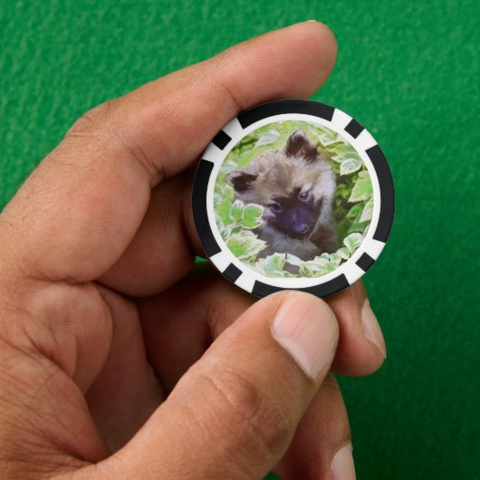 Keeshond Puppy in de Garden Painting Originele Kun Poker Chips (Hand)